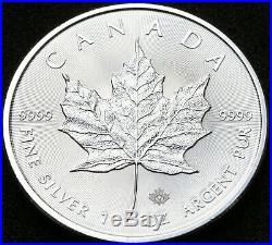 TUB25c SD 25 x 1 oz 2019 Silver Canadian Maple Silver Bullion Coins FULL TUBE