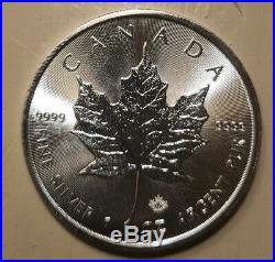 TUBE Maple Leaf 25 x 2019 Canadian 1 oz Silver Bullion Coin Brand new uncirc